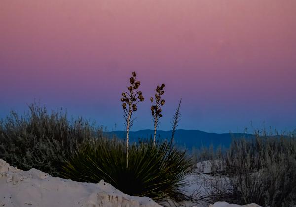  We spent one night in Alamagordo in order to visit White Sands National Monument. Then on toward Acoma Pueblo.